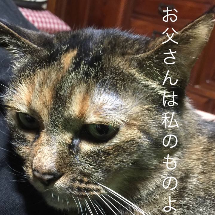 4c2ae502 d9d7 4145 9f6d 413df1cab063