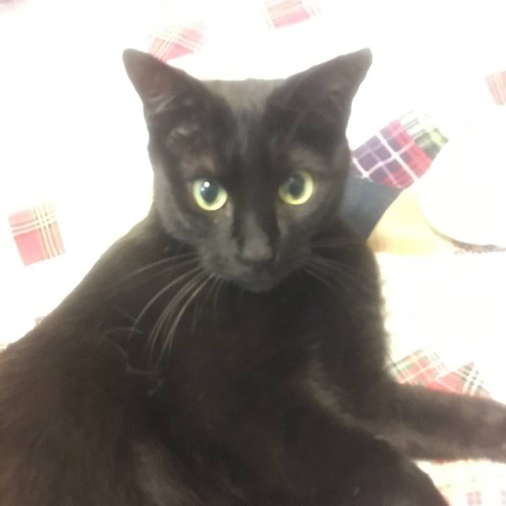 4c2be653 91d3 42f7 8c3c df087100b622