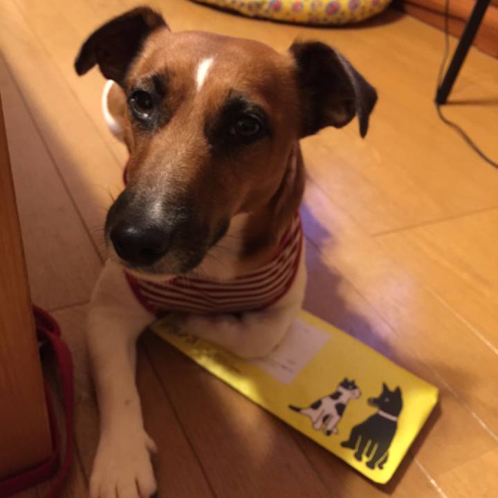 4c2bef89 913b 48ee a134 d9b8268270c7