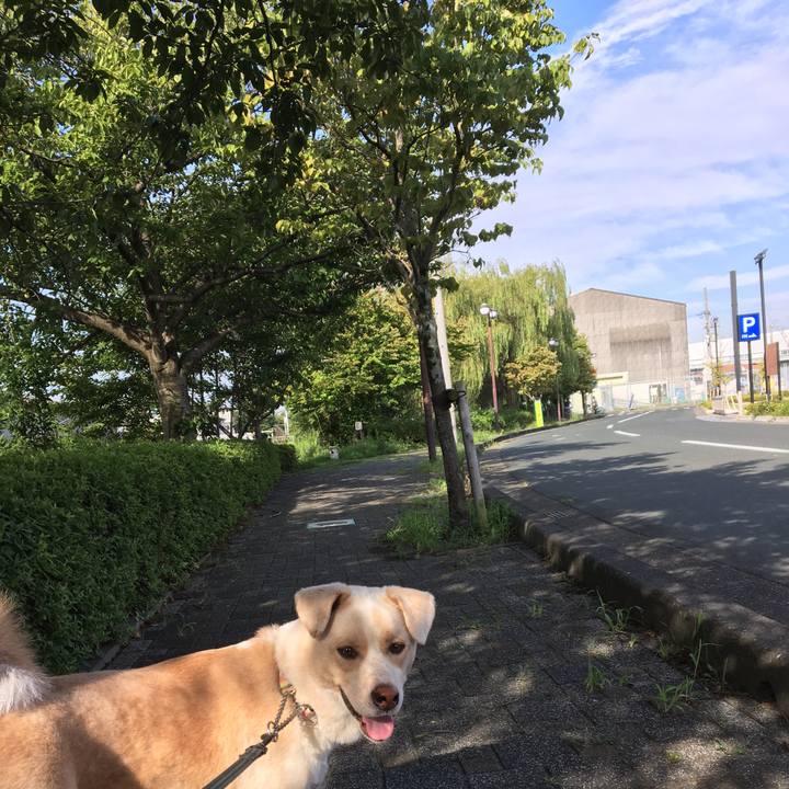 4c2ca410 f871 49d4 a0e1 b4527bd86b52