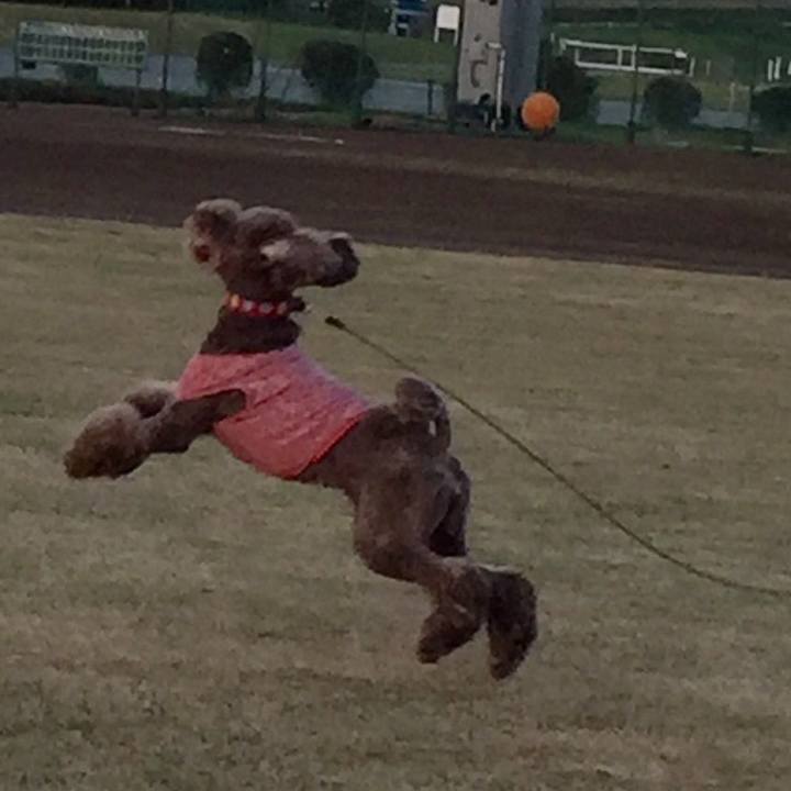 4c2cb64c 2621 4c15 bec2 cc4465ff7ea4