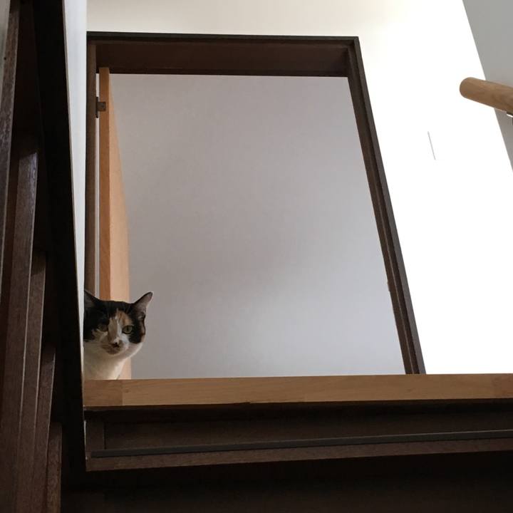 4c2cf941 bf65 4e78 b305 97411729fae6