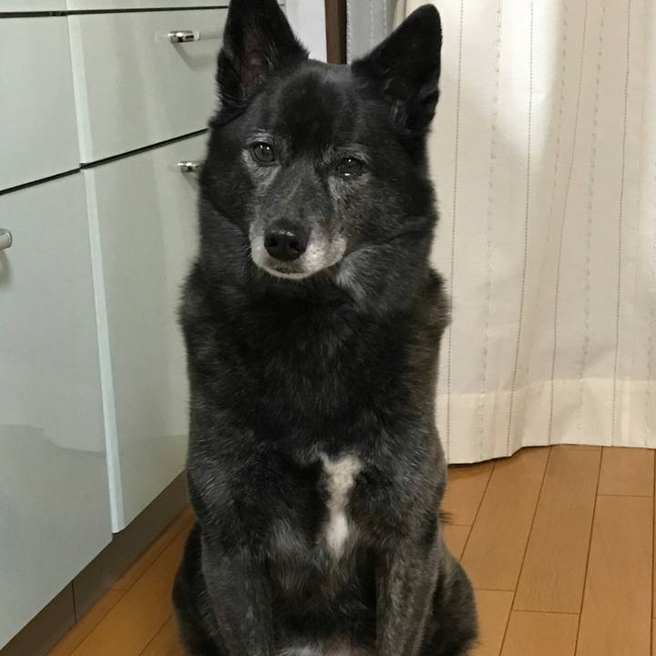 4c2d06e1 1553 4980 bdc2 5e344080958c