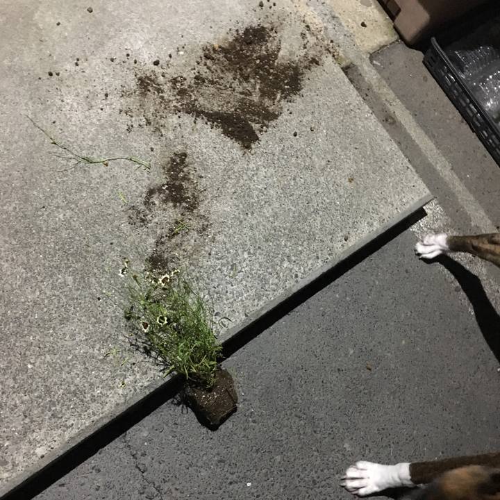 4c2d53fb 967d 4944 8114 7e223e152147