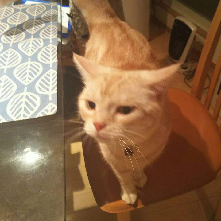 4c2ecdba d857 45e7 bd7d 4d1c0a28cf6b