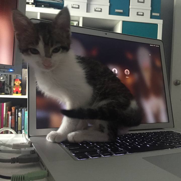 4c2ee59e 59c7 4f94 88be 55a1a6f22d0a