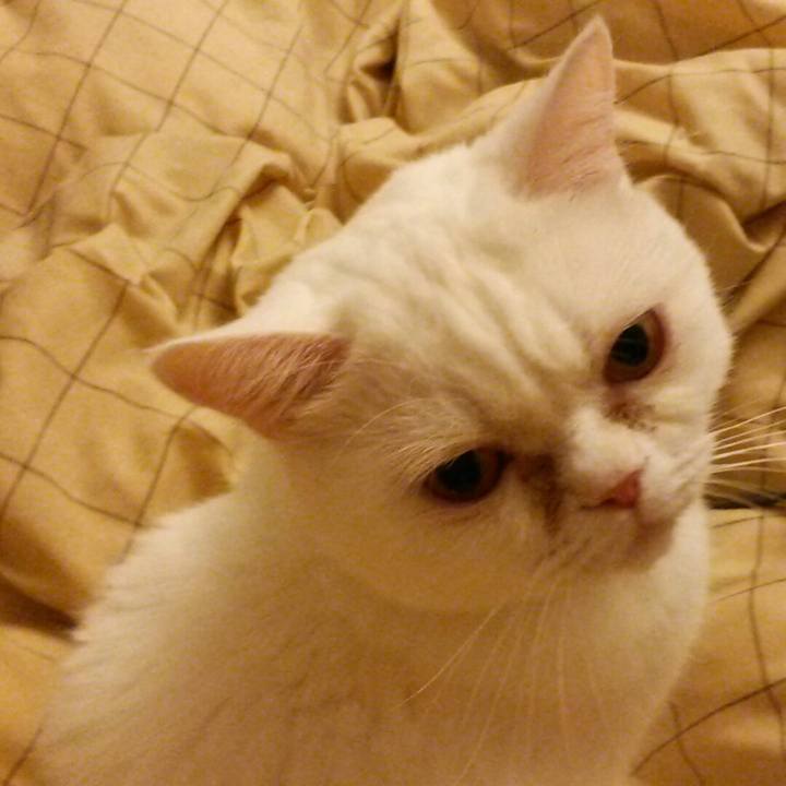 4c2f9271 7b9f 4bbb b2bb 80157961ecca