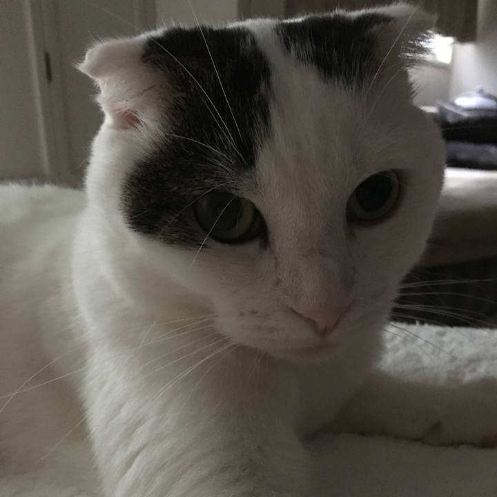 4c2ffcba ec79 4b3f 973b 2170cc06d39d