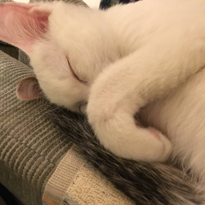 4c309657 d33b 40c4 b856 7440884abc3e