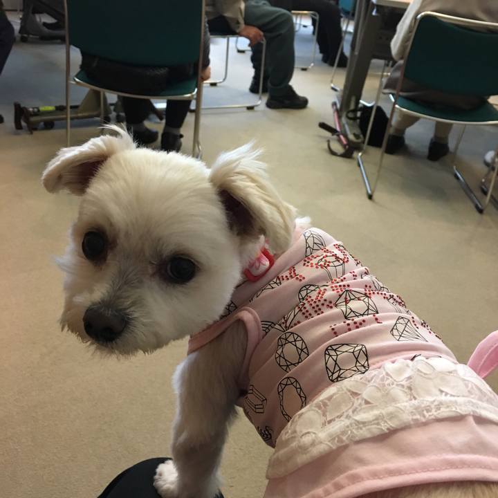 4c3160a9 72bc 414b a387 0a20aed49a30