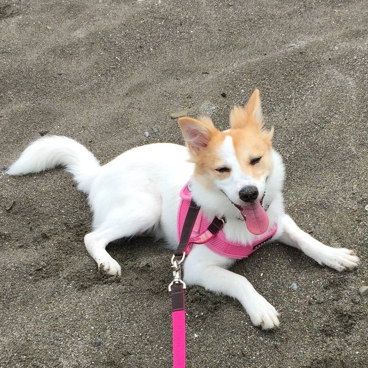 4c31e74e 6921 4539 9dcb 4557cd7ddb75