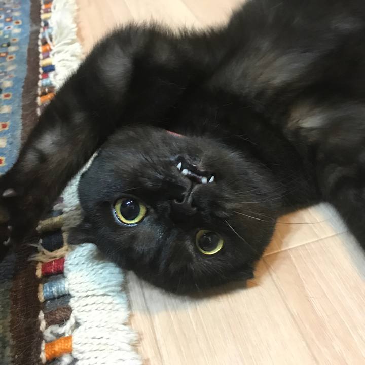 4c326d0b d999 448d 9bf0 7a7ff67b0b15