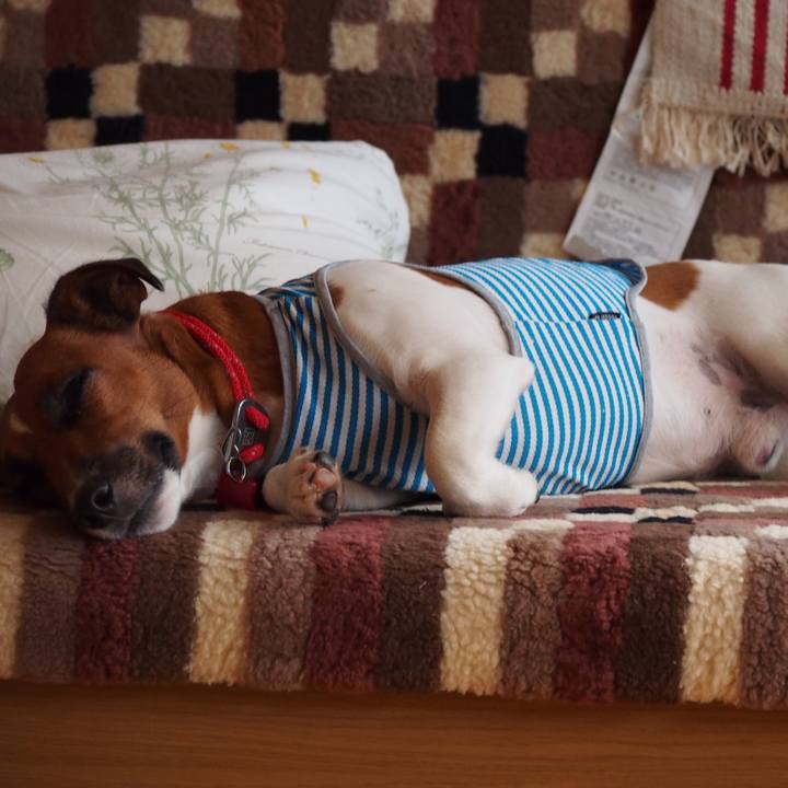 4c3281bf 7ac2 4827 838f a32af473e34b