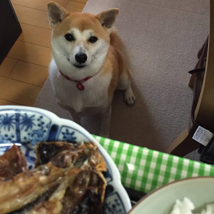 4c32cbee 1ff8 47f7 b9c1 b9b7dbe6b543