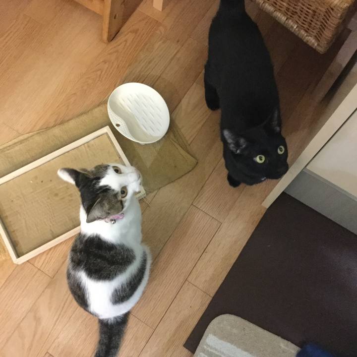 4c335663 7336 40e4 9fa1 212272fd282b