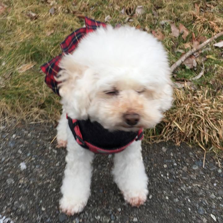 4c335889 1e0f 408d bb01 bc7cd22dc363