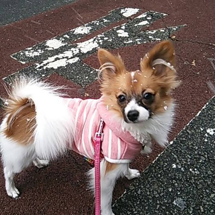 4c338f1f a1d4 448a 8cae 106e536aa141