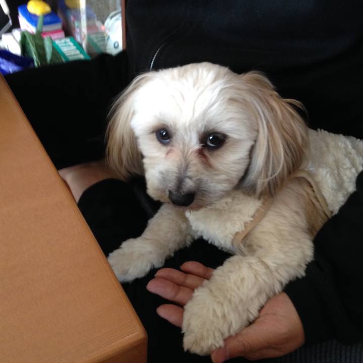 4c339d32 bfb6 4822 883c c69fc67f9138