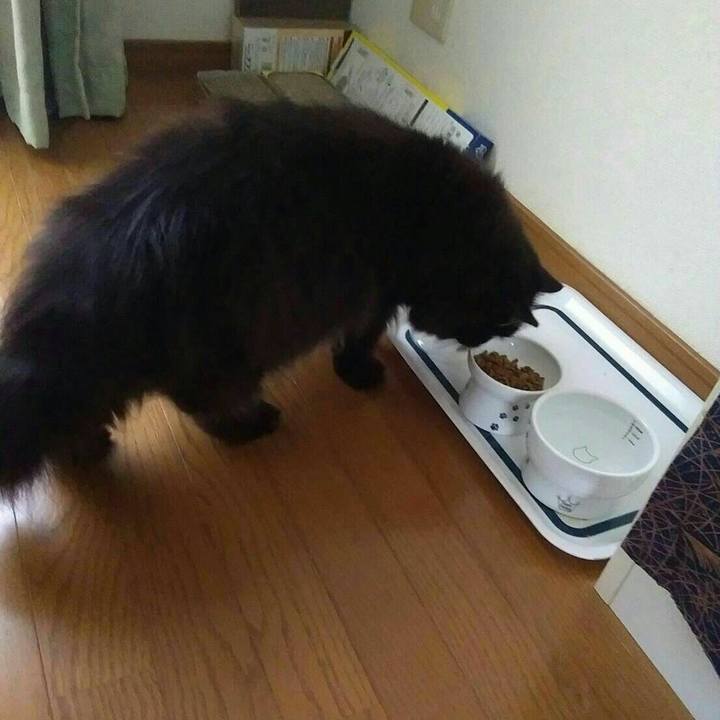 4c33bca3 91ab 4cab aba0 b7671e18d929