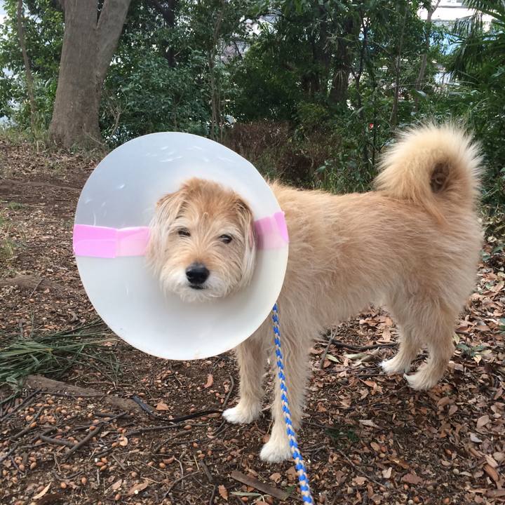 4c343ca3 3e9a 40a3 8f0a 8ead7c745f73