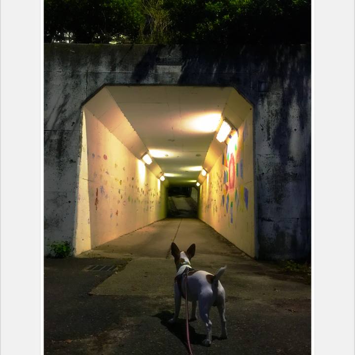 4c34a6b1 9641 4ded 88f7 73ffbcd6e1e5