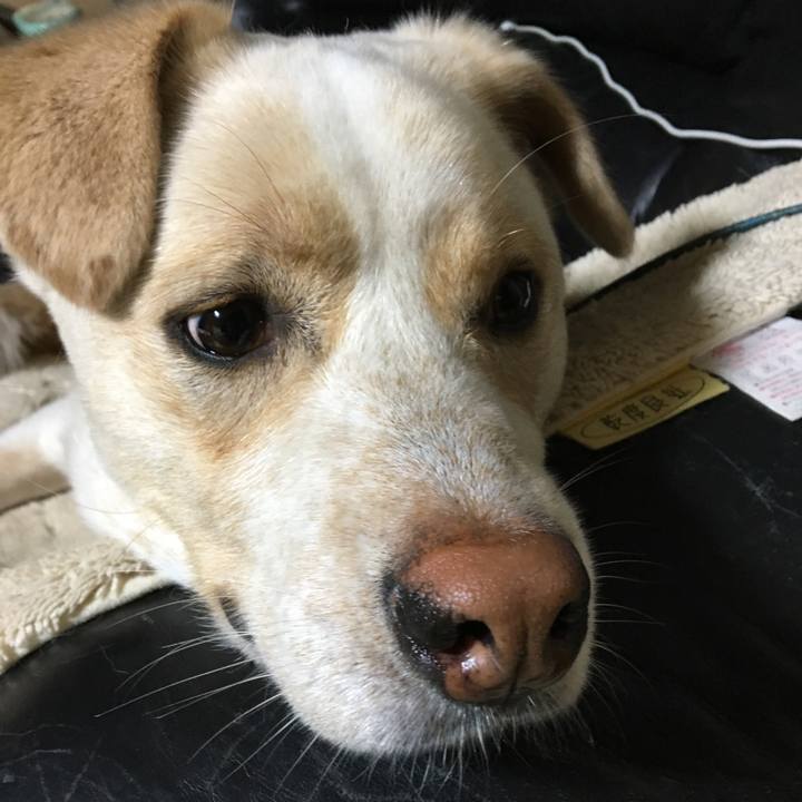 4c369482 b121 4e4c 87d4 de0329129c84