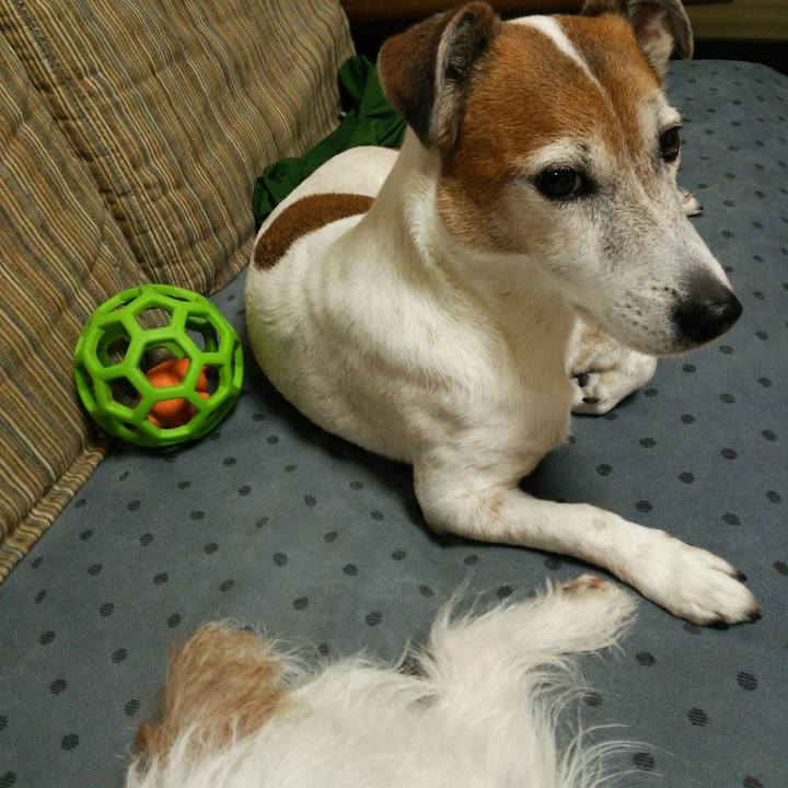 4c37023b 07e0 4a6b 944e 0fd003004c7d