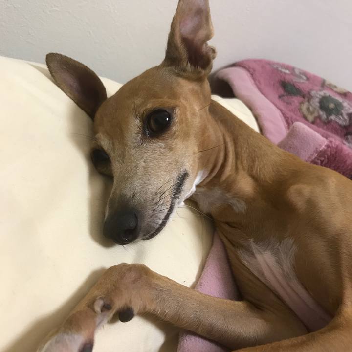 4c38692b dc2e 4175 986a b56f954dfa2d