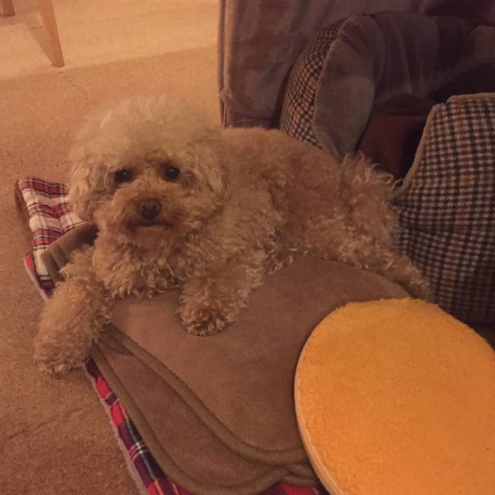 4c39d6d3 ec1f 4092 9992 b2e4c191b8b2