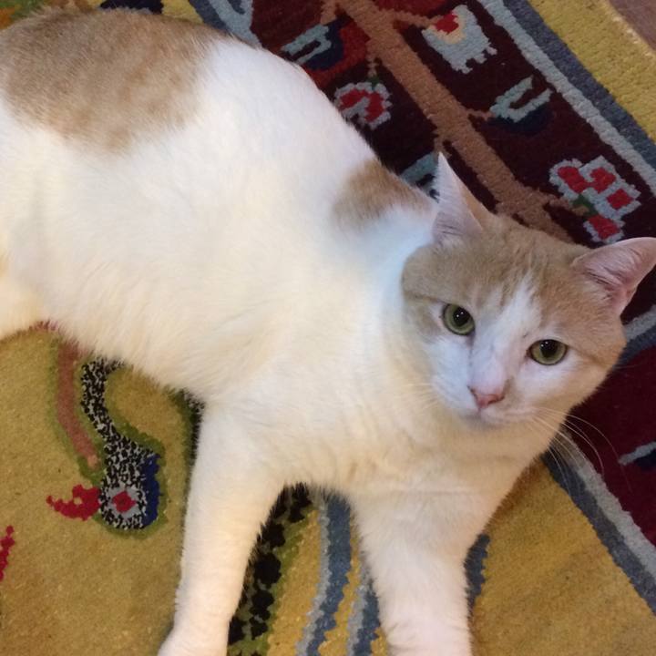 4c3a628b fd6e 49c6 81a2 8cd2d12597b3