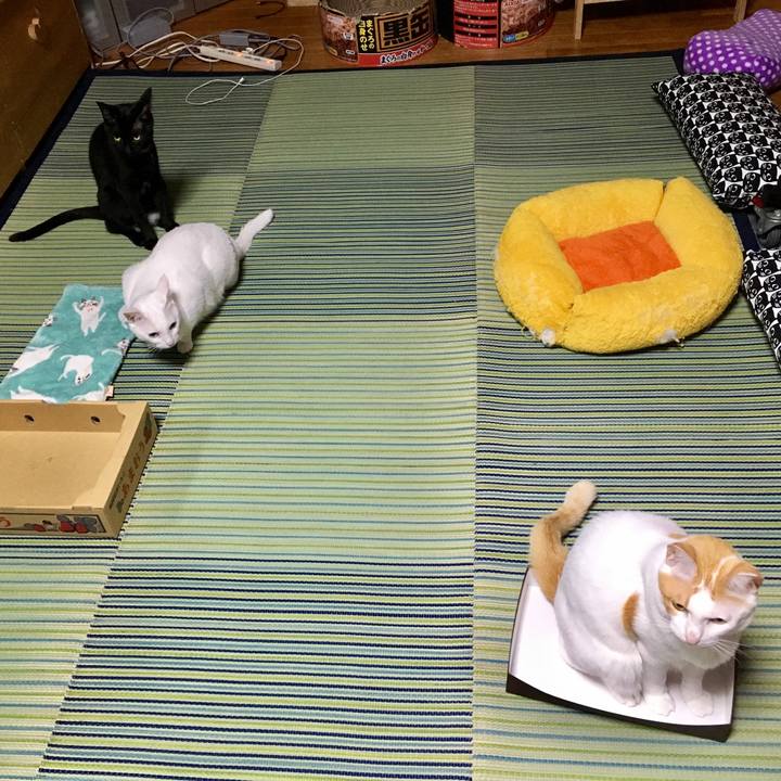 4c3b477d 3531 4ae8 adba 7de5f2f46e36