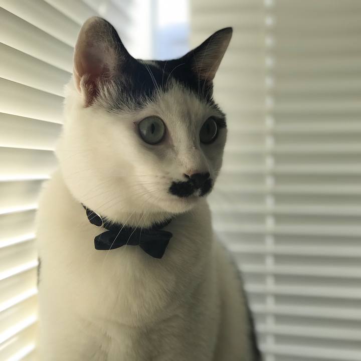 4c3ba142 dcbf 4327 8bfa 450c71c0b018