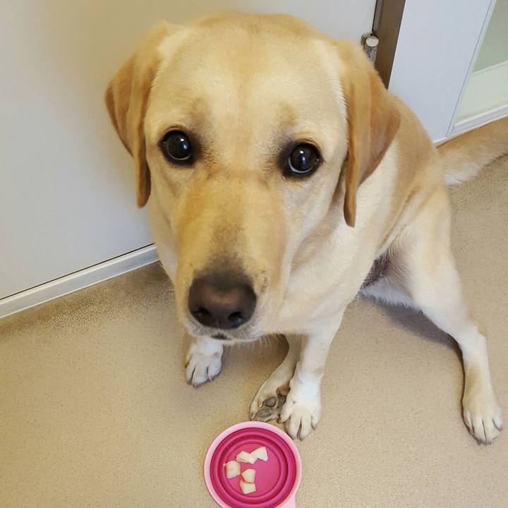 4c3cf9e1 245e 45f7 aad3 89ef519eb503