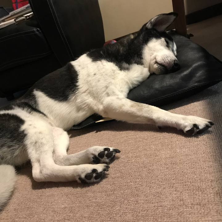 4c3d9b82 efdb 4bb0 be88 45b185906bc1