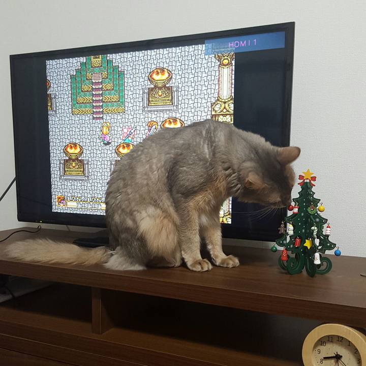 4c3dabfe 8fad 4243 9bba 7e559161e5dd