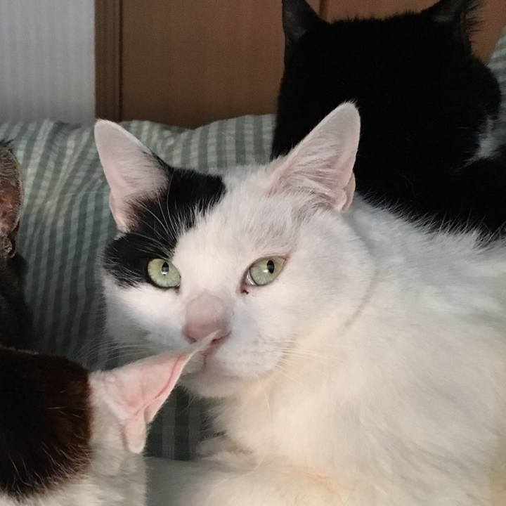 4c3e4f2c fc54 4360 acdf a4fd48890b7a