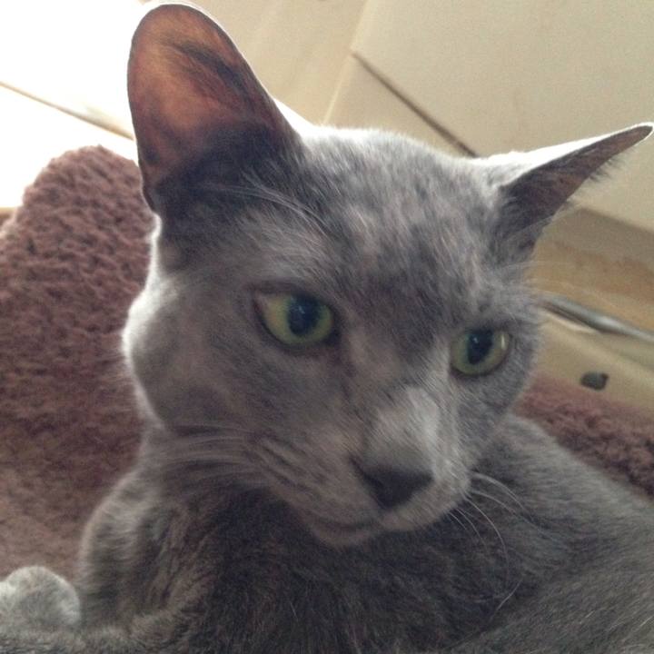 4c3e9220 8a69 49f9 8a91 61fdaed5ed6c