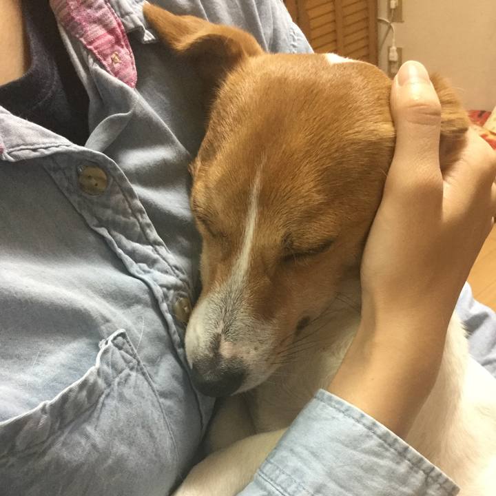 4c3f0bff 96c4 420e 9323 c9ae732c4a8c