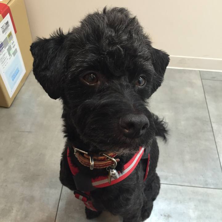 4c4176ed a6ee 4d88 bc77 2e5d5c07b072