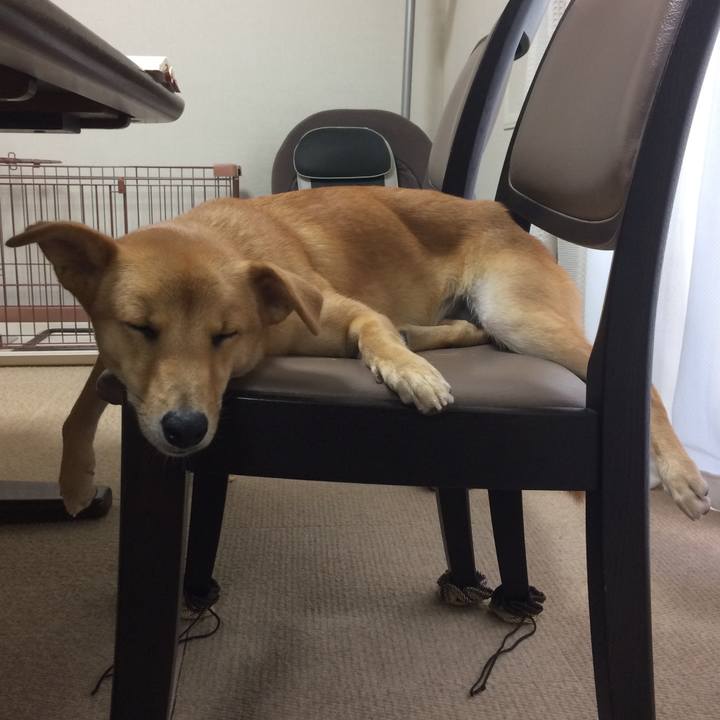 4c42144d 7f5d 4672 a531 428287364e3b