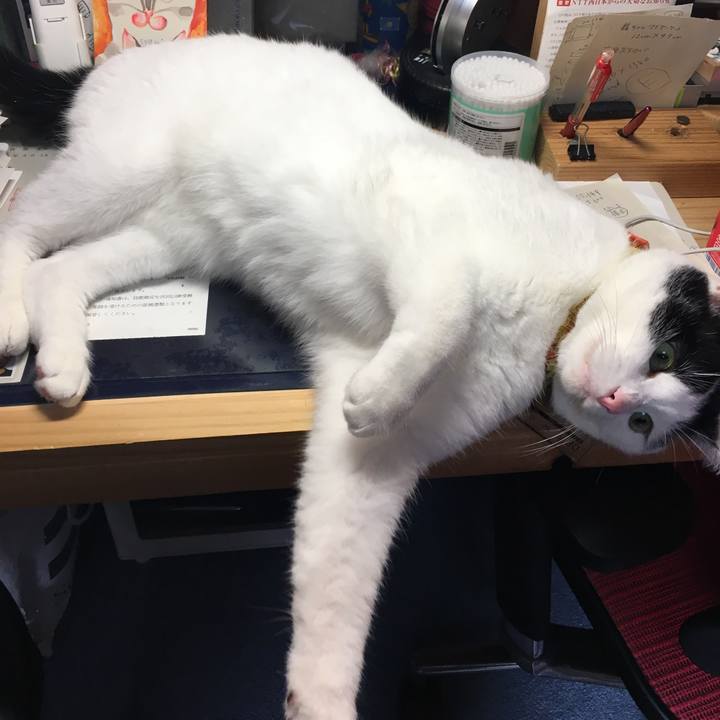 4c426f17 380c 4629 b092 ab63d938be34