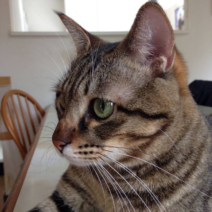 4c435881 745d 4934 8dec 22b9b7a6fa47