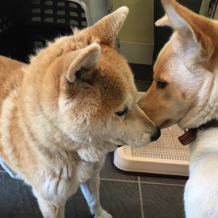 4c436137 adfb 4dcf 9220 2bd3f9a56375