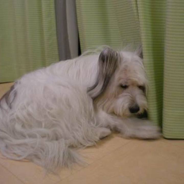 4c43bcc0 84d7 49db 9bfd 9b142f0daf3d