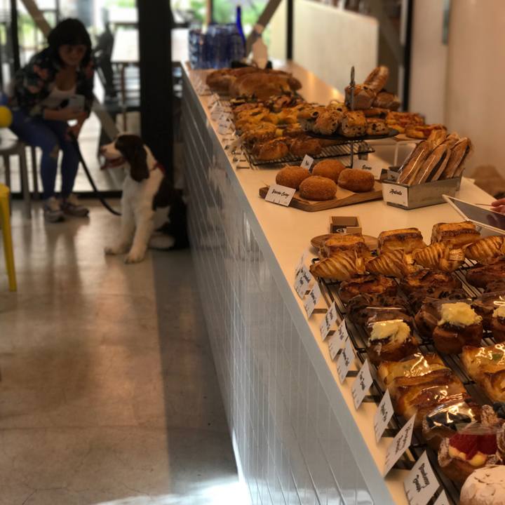 4c43d8f5 c718 4702 976c 129d076f4683