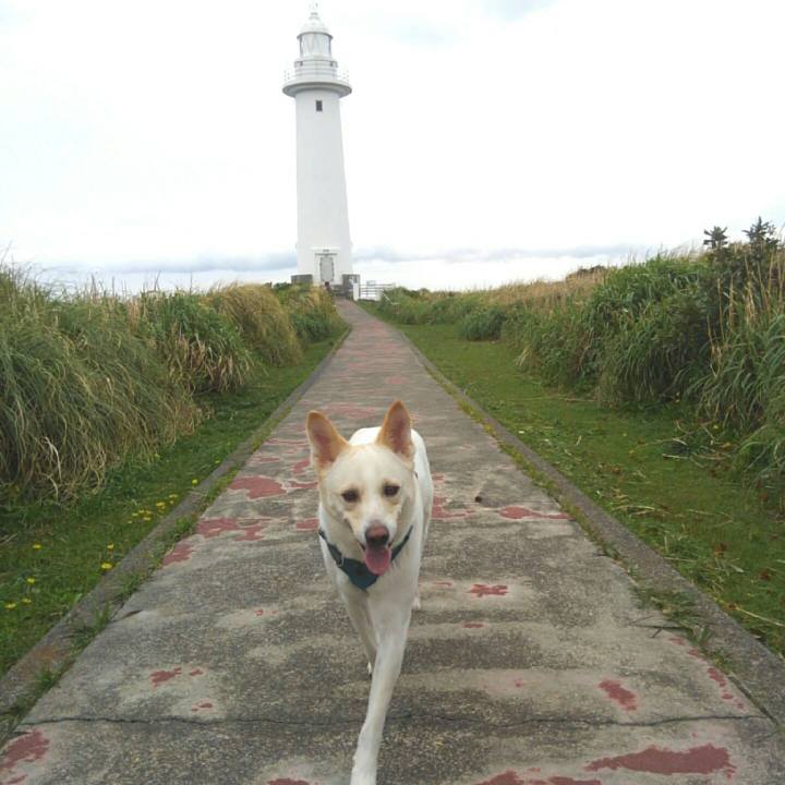 4c43dd75 dfda 4630 9c09 4142da899e87