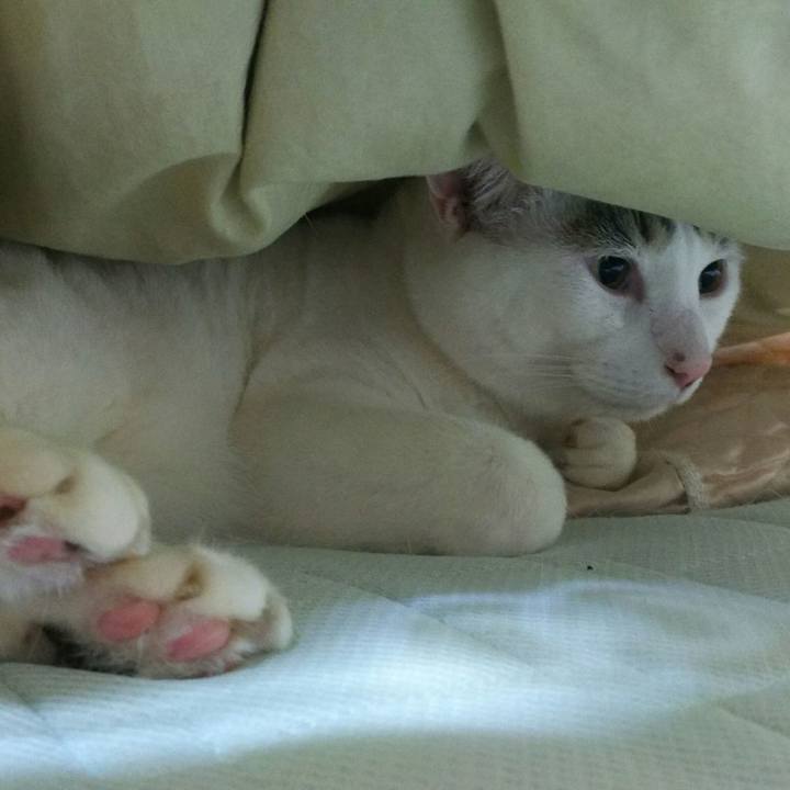 4c43eba1 fa73 4d60 a69a 84cd60574959