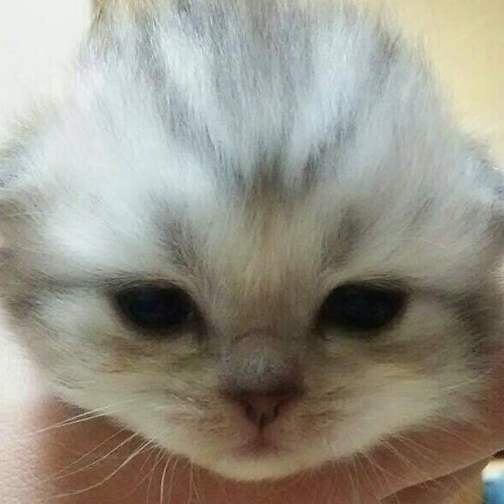 4c44b253 450a 441e acb0 b2f9505ca00a