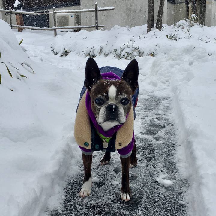 4c44fa6f d876 4694 8f22 5daa04ae205e