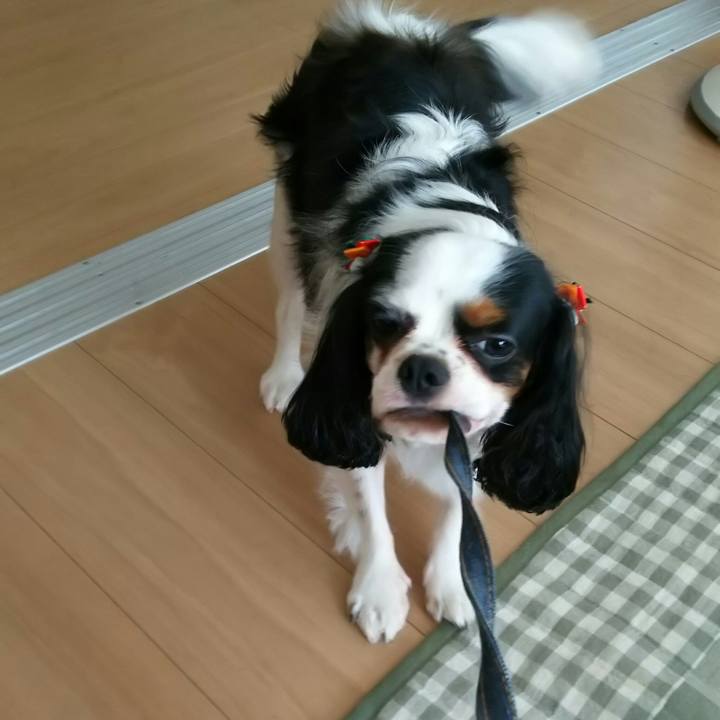 4c457336 ecb7 46ad b8ea f1133cef7cdf